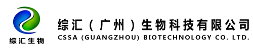 网站Logo
